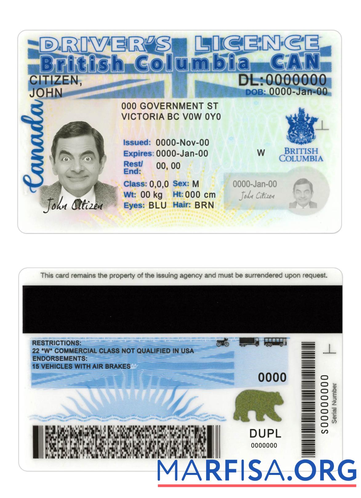 Printable Canada British Columbia driving license new version example